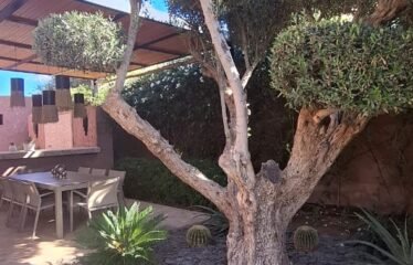 Villa Cactus