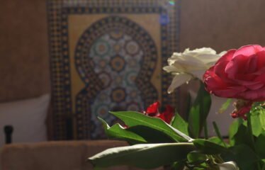 Riad Zein, Médina