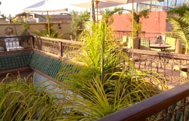 Riad Zein, Médina