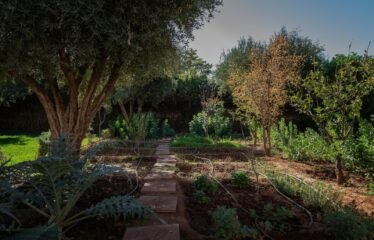 Villa Soleil